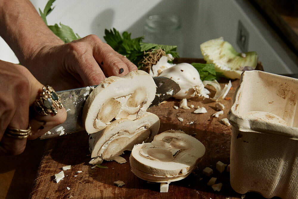 Susty2024 Gvander Star 63 1000x667 EDM